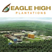 Lowongan Kerja PT Eagle High Plantations, Tbk