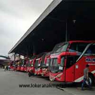 Lowongan Kerja Bus CV Makmur Medan